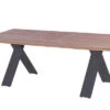 HARTMAN Xanadu Esstisch, Xerix, Alu / Teakholz, 220 X 100 Cm, X-Gestell 2 HARTMAN Xanadu Esstisch, Xerix, Alu / Teakholz, 220 X 100 Cm, X-Gestell -Gartenblick Geschaft 1 20405.jpg